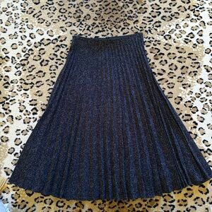 Zara Pleated Navy Blue Skirt